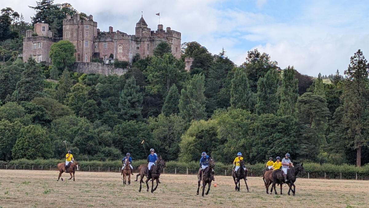 Exmoor polo match