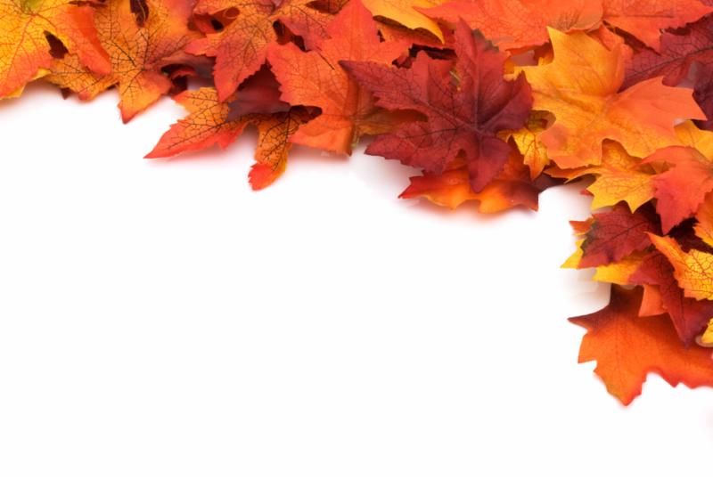 autumn_background.jpg