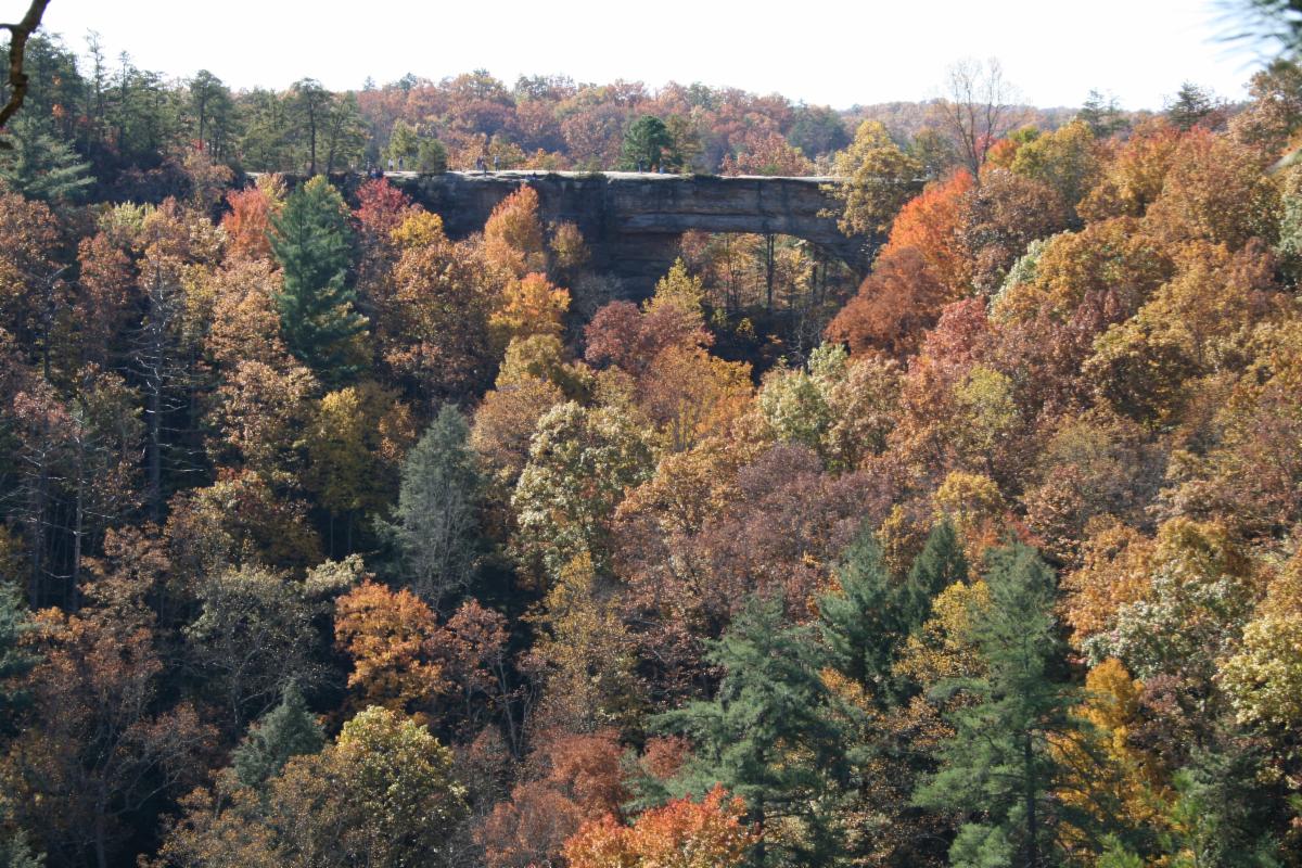 National Bridge State Park Kentucky