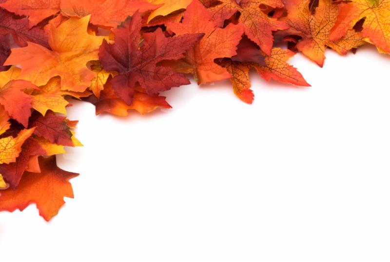 autumn_background.jpg