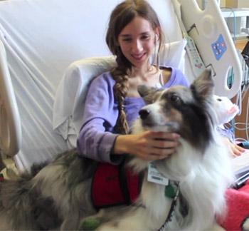 Brodie is child certified, meaning he is trained to be around children of all ages.