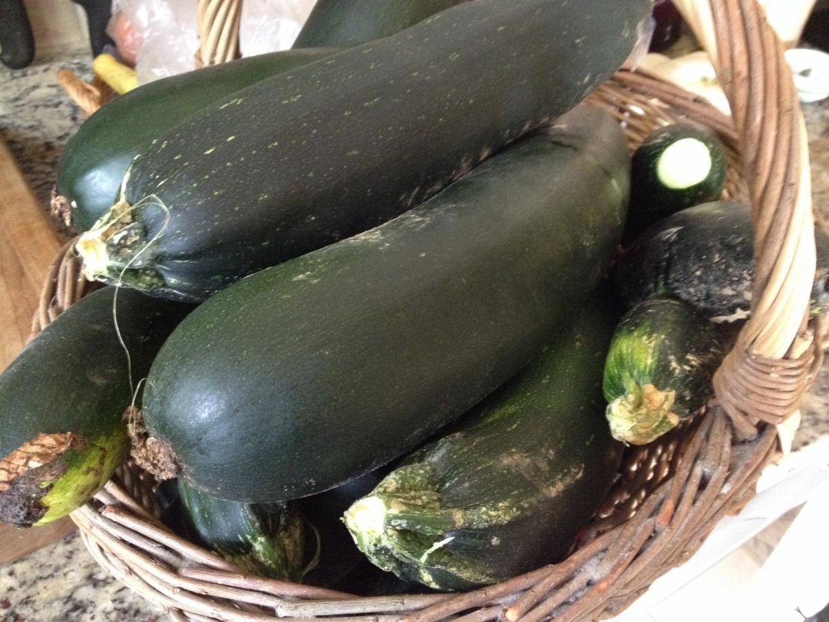 What To Do with Zucchini?!