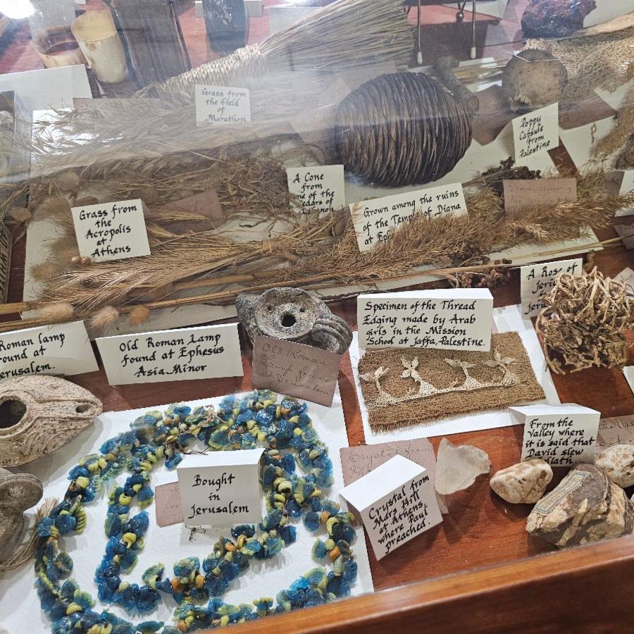 HSSM cabinet of curiosities