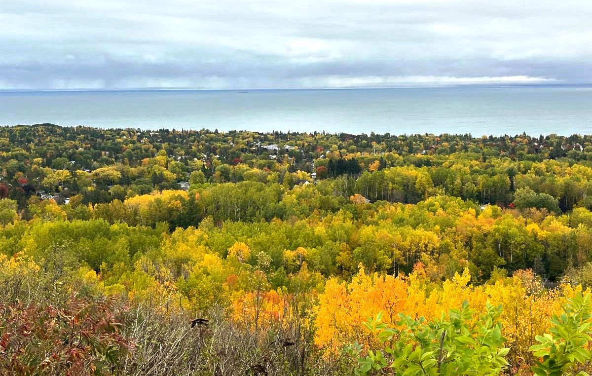 A view of the suburbs of Duluth from Hawk Ridge in the fall. Colorful trees cover the landscape with Lake Superior in the background.