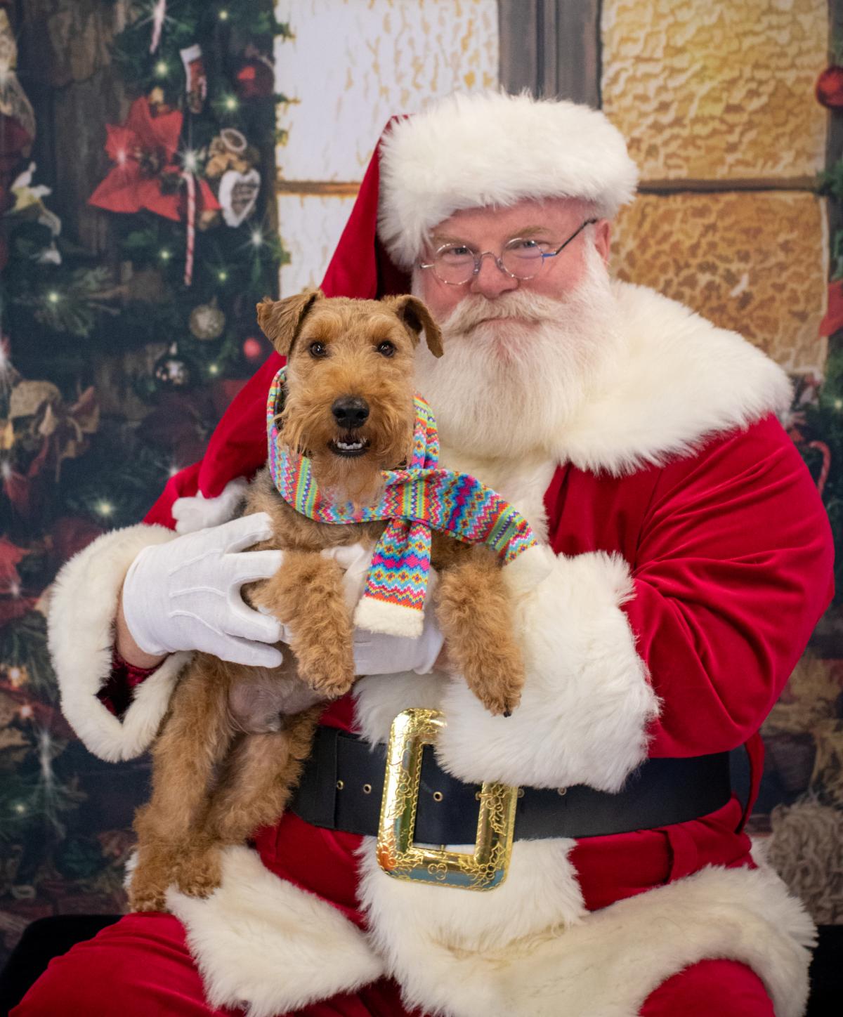 email-Aidan-Perfect Smile-Santa-2021.jpeg