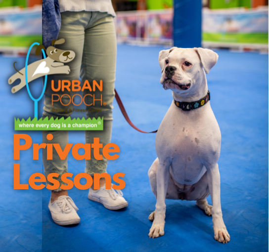 UPTFC Private Lesson-2021 Gift Guide _1_.png