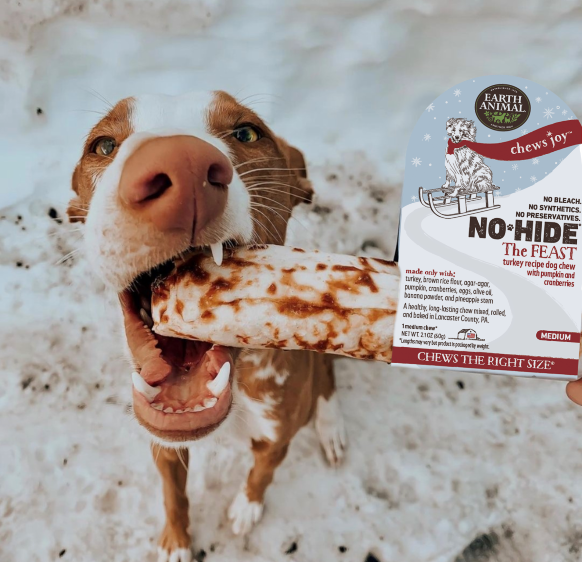 No Hide-Dog2_Feast_2021.png