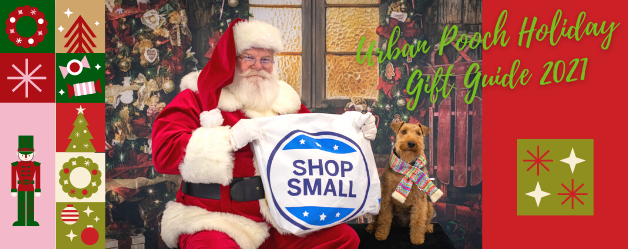 Final-UP Gift Guide 2021 Header-Aidan-Santa.png