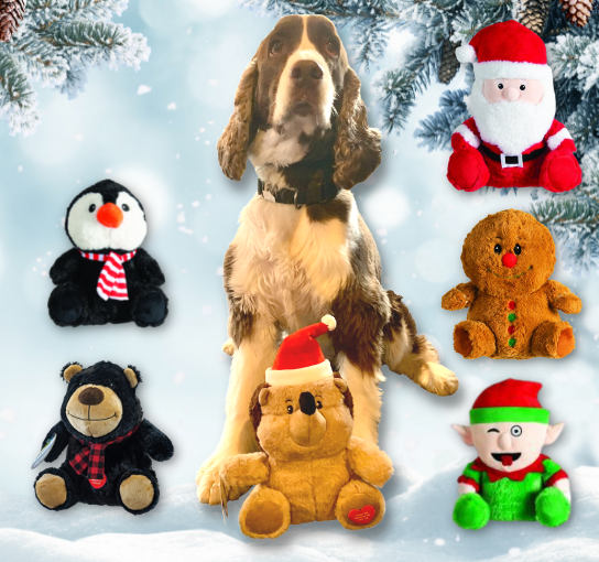 2021 Holiday Hero Chuckles Toys _544 x 510 px_.png