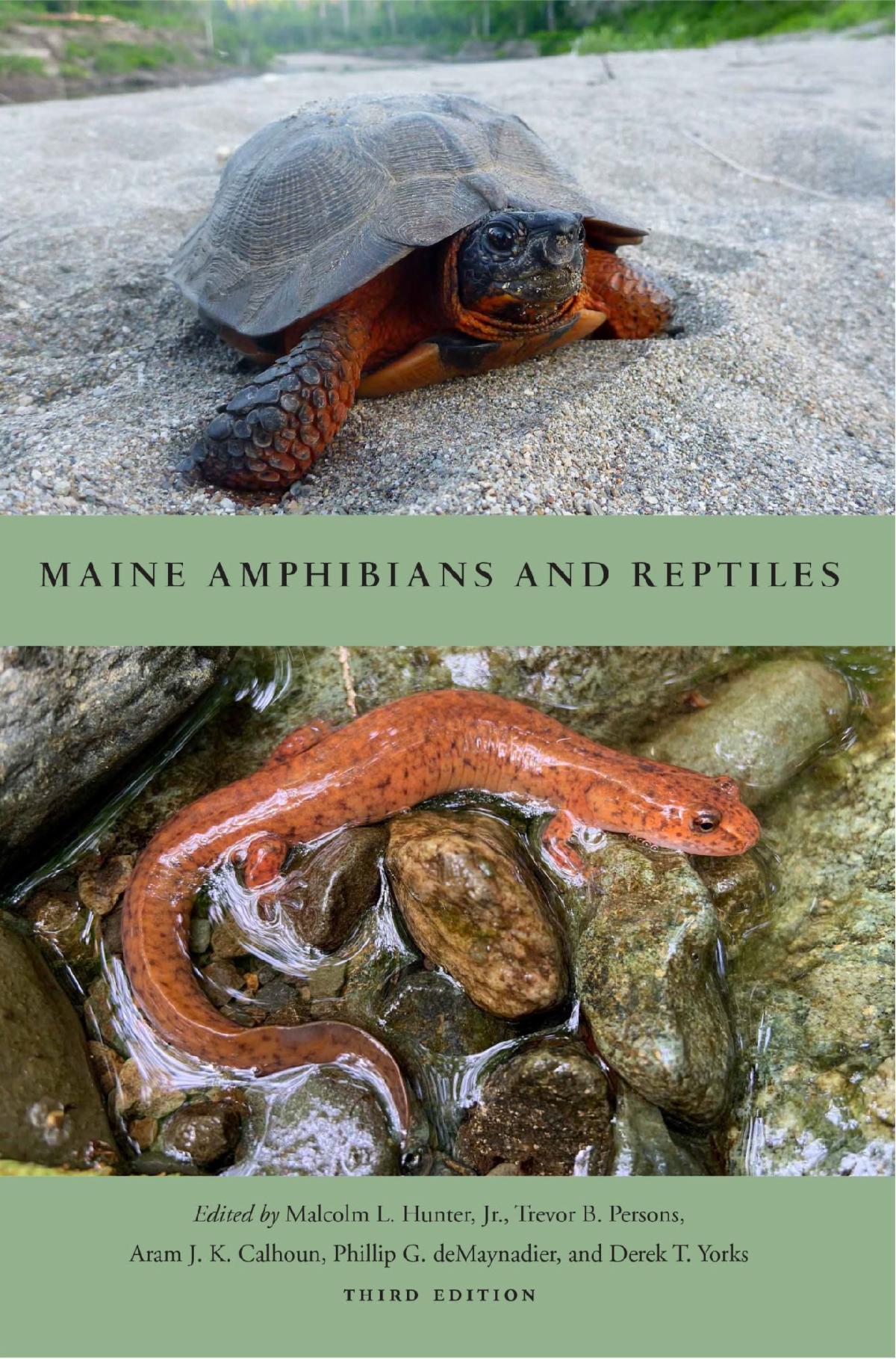 Maine Amphibians and Reptiles book cover