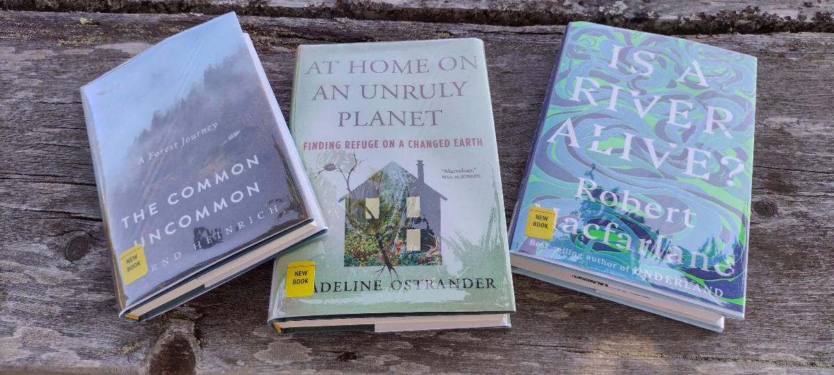 Photo of three books