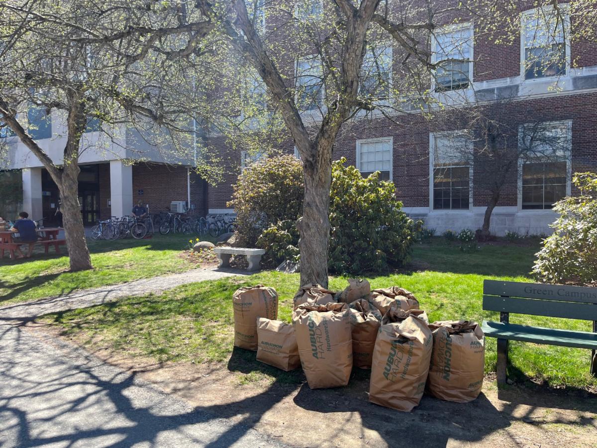 Photo of several full leaf bags beside a bench