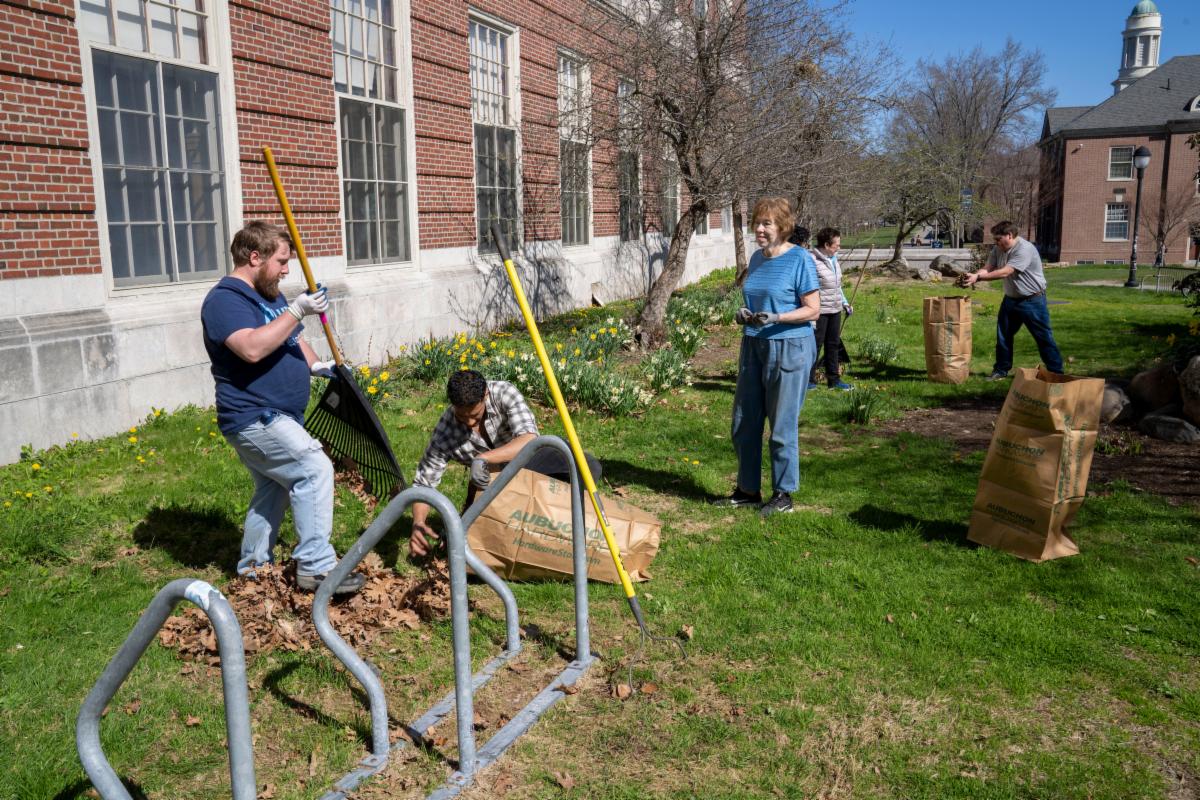 Photo of several people working in the garden, bagging leaves