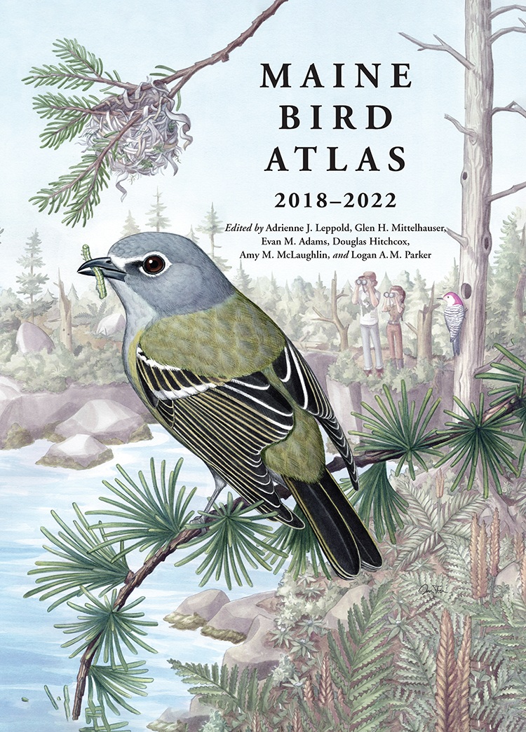 Cover of the Maine Bird Atlas featuring artwork of a bird on a pine tree branch.