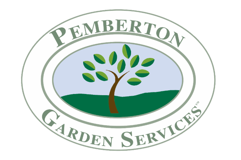 Winter is coming and so are rabbits and extreme cold!