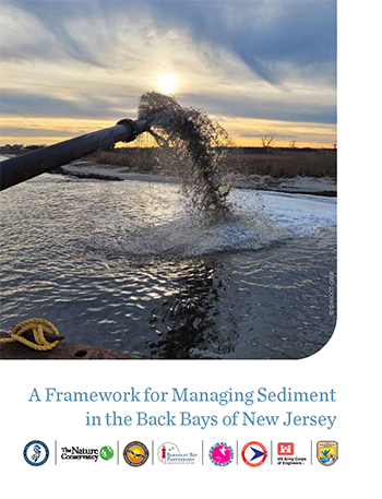 The cover to the RSMF report