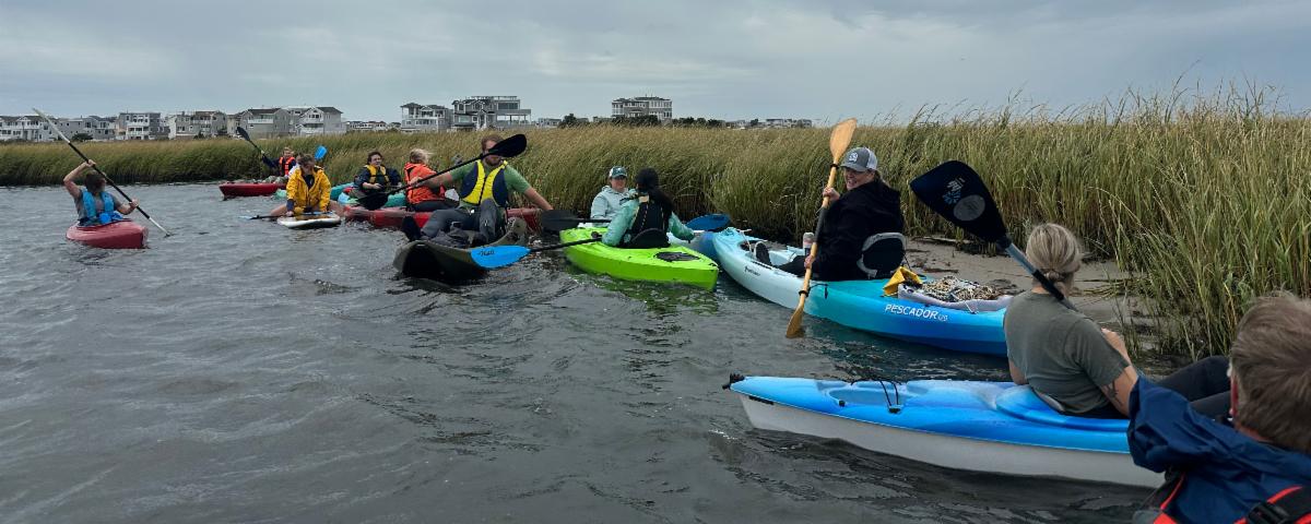About a half dozen people on kayaks observe a marsh island's shoreline