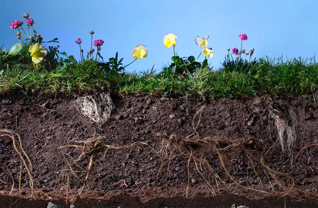 Screenshot 2022-05-27 at 22.12.17 copy.jpg