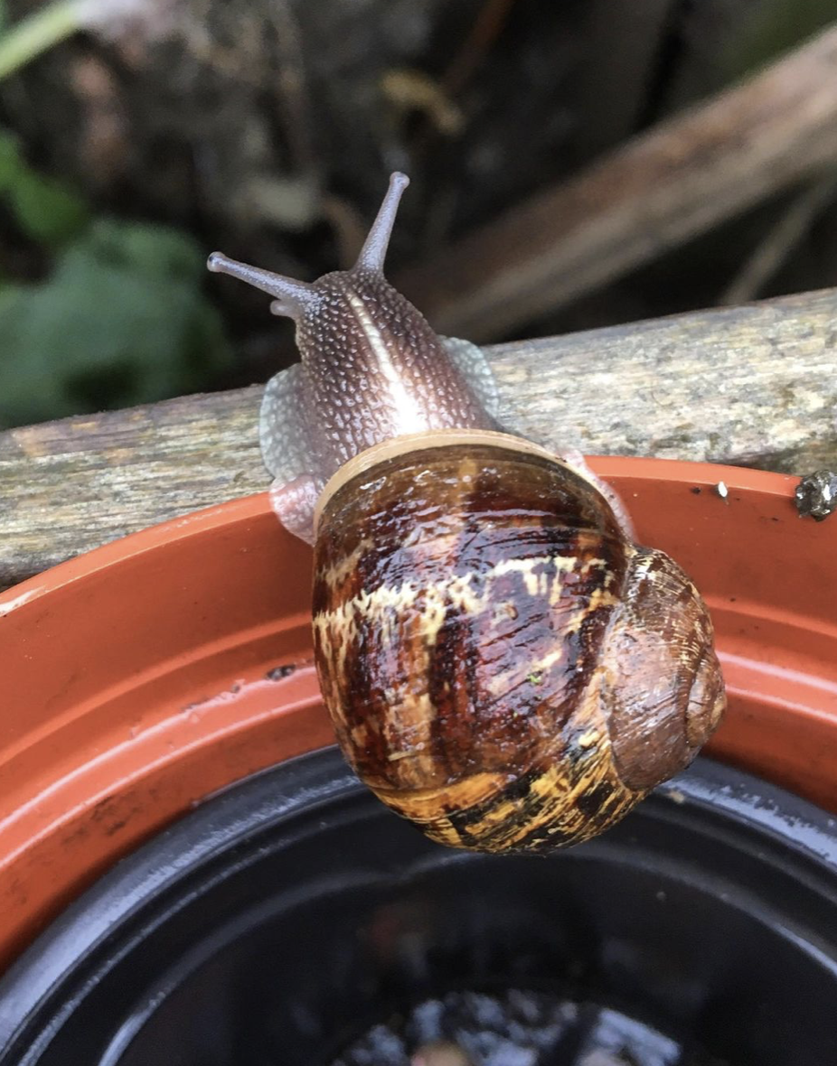 Screenshot 2021-07-14 at 20.40.33.png