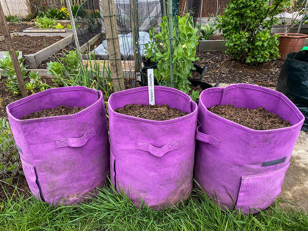 3xpots-in-pots.jpg