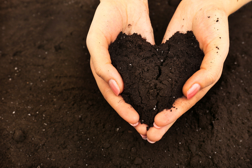 Female handful of soil in shape of heart_ closeup