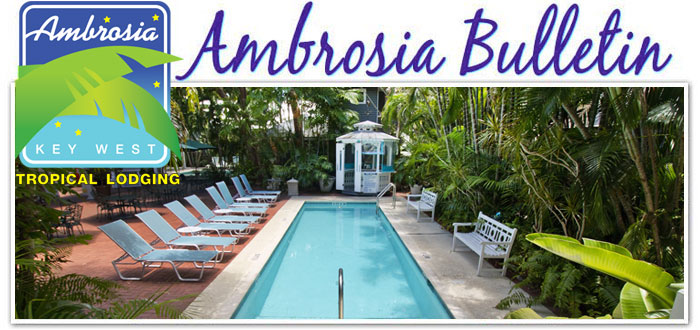 Ambrosia Header.jpg