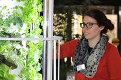 Staff member waters the library_s tower garden