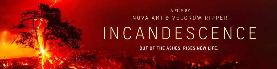 Incandescence on a red background