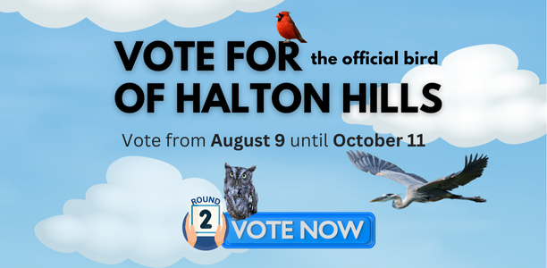 Background of sky and clouds with images of birds featuring the text Vote for the Official Bird of Halton Hills August 9 to October 11