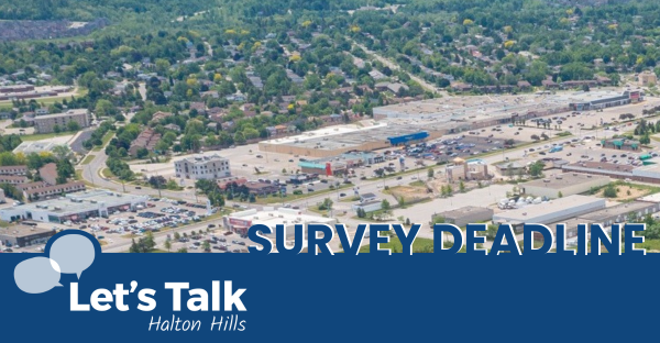 Aerial view of Guelph Street