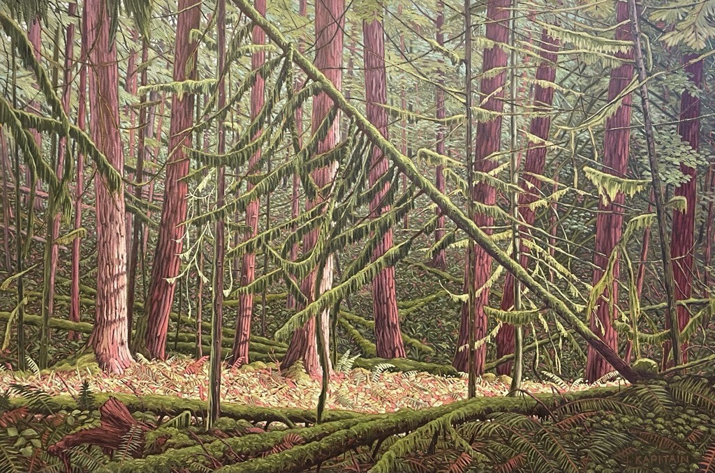 Dense forest scene with tall straight tree trunks rising vertically. The trees have reddish brown bark and are surrounded by green moss and ferns. Slanted branches and fallen logs crisscross the forest floor. Sunlight filters through the canopy creating patches of light and shadow. The background shows layers of trees fading into the distance.