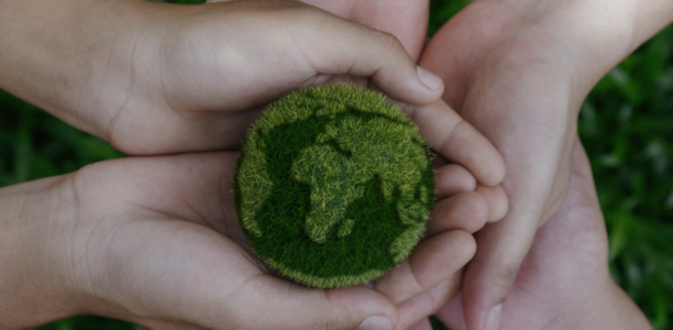 green moss ball representing the earth held by hands