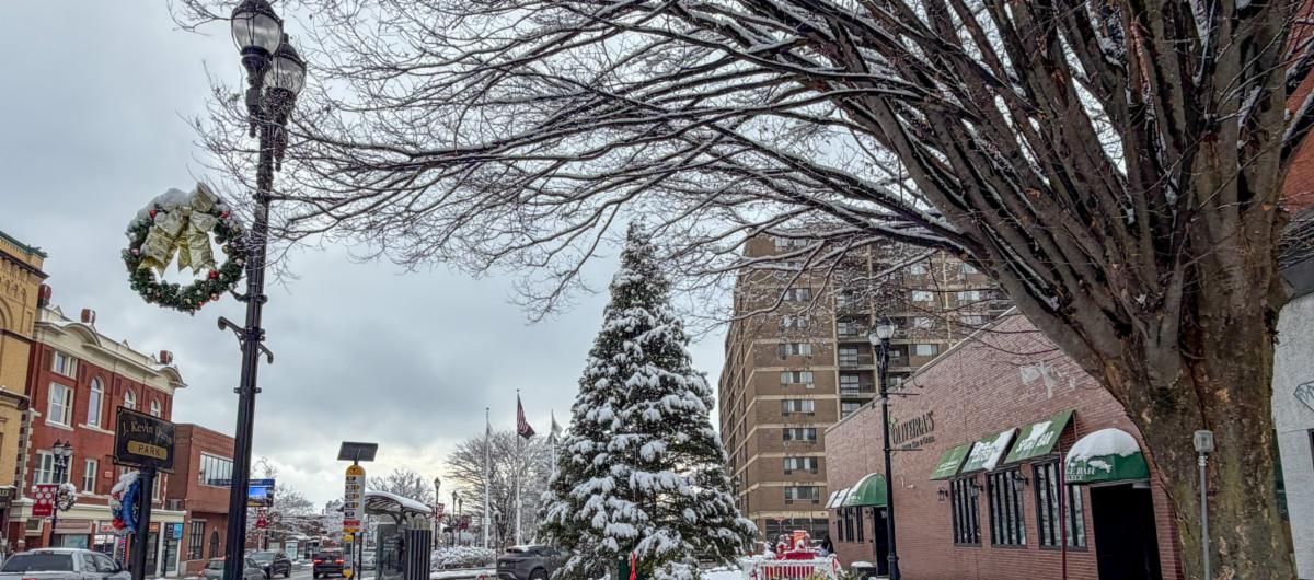 Snow-covered streetscape in Everett with a decorated lamppost, bare trees, and a large evergreen tree dusted with snow in a small plaza; nearby storefronts, a bus stop, and passing cars line the street under an overcast winter sky.