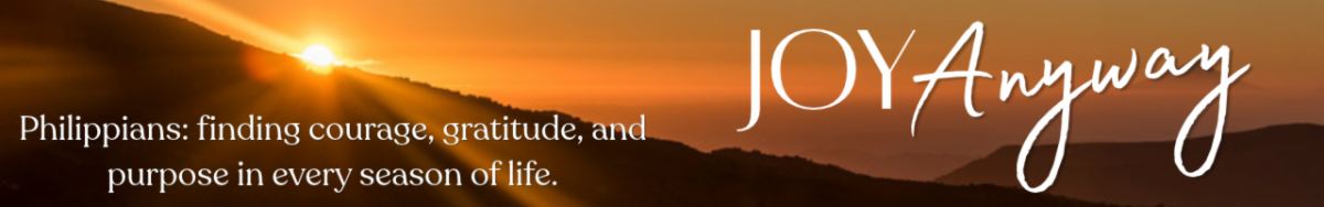 Joy_Anyway_p2.png