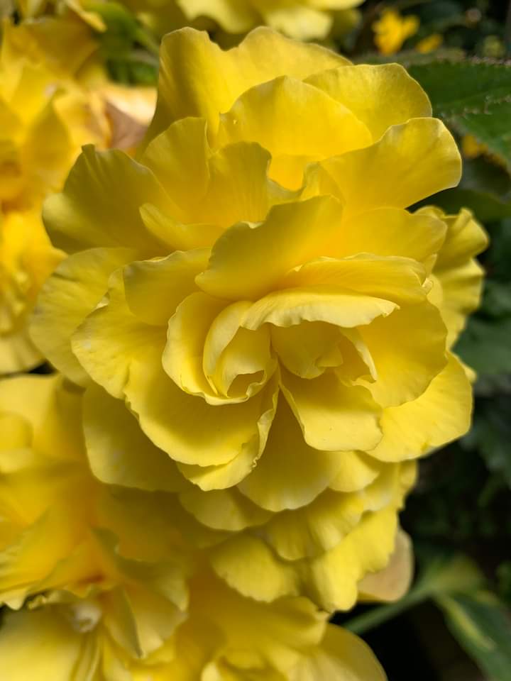 What's Happening CSL Eugene