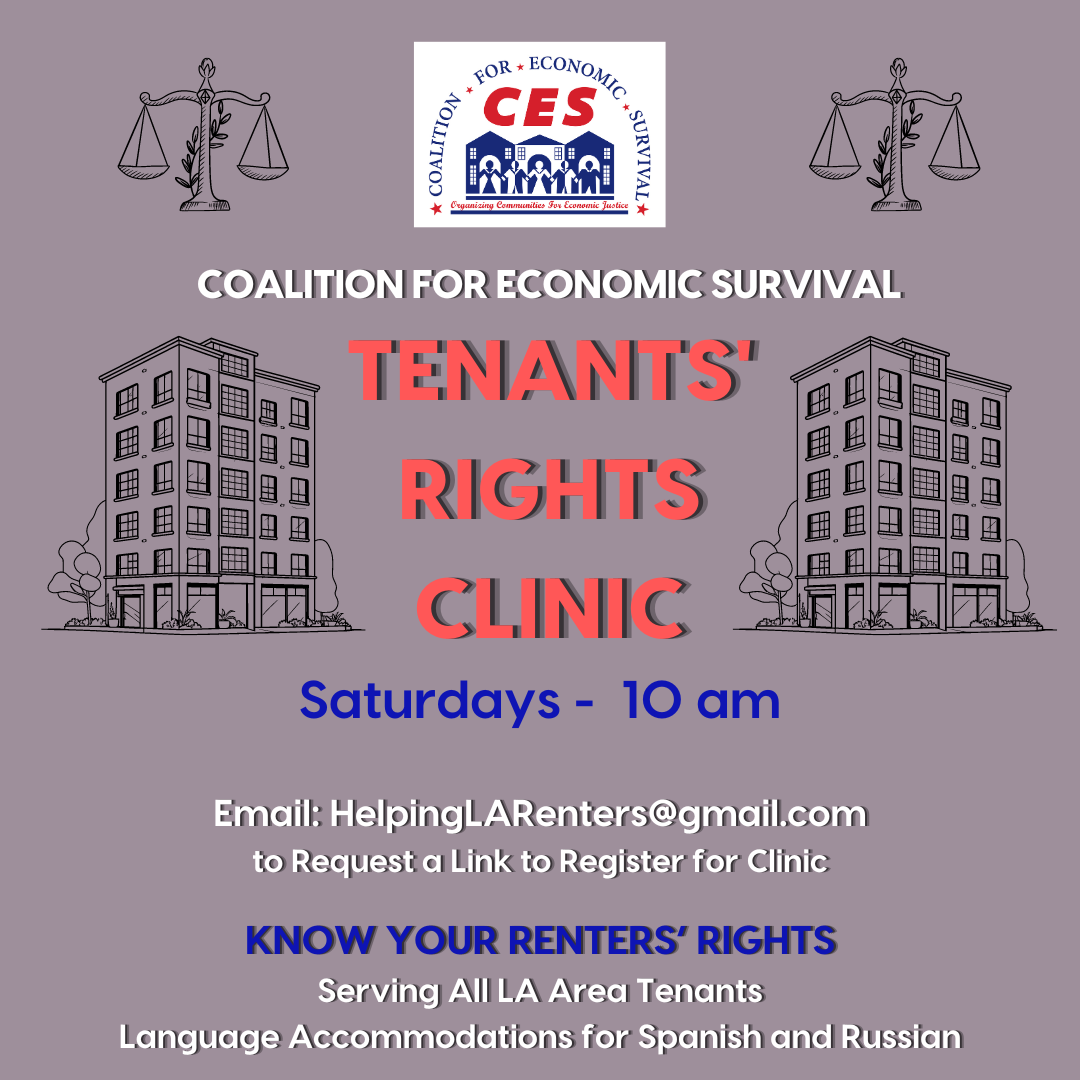 5c5d8c2a-ee40-41d6-87e3-52f00c0a72f7 image