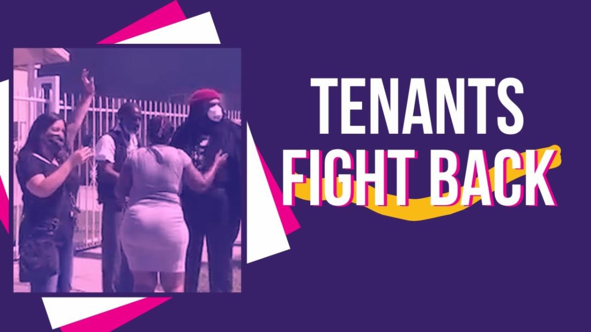 9141cbcc-f0f0-4d46-94c8-da48ed820b35 image