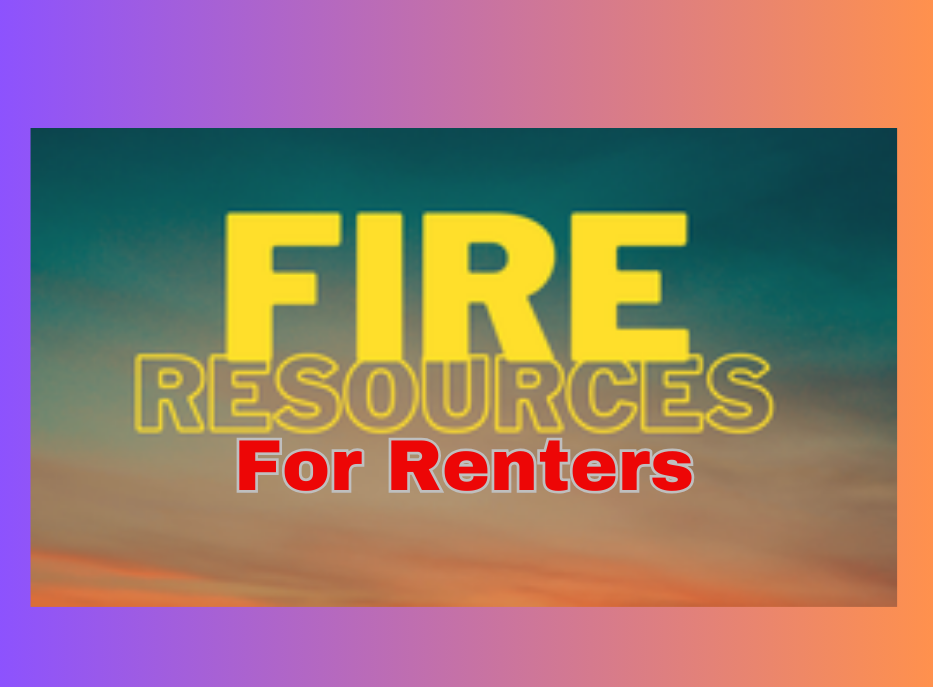 b1300da1-07a8-4543-9e55-08d6739e2b70 image