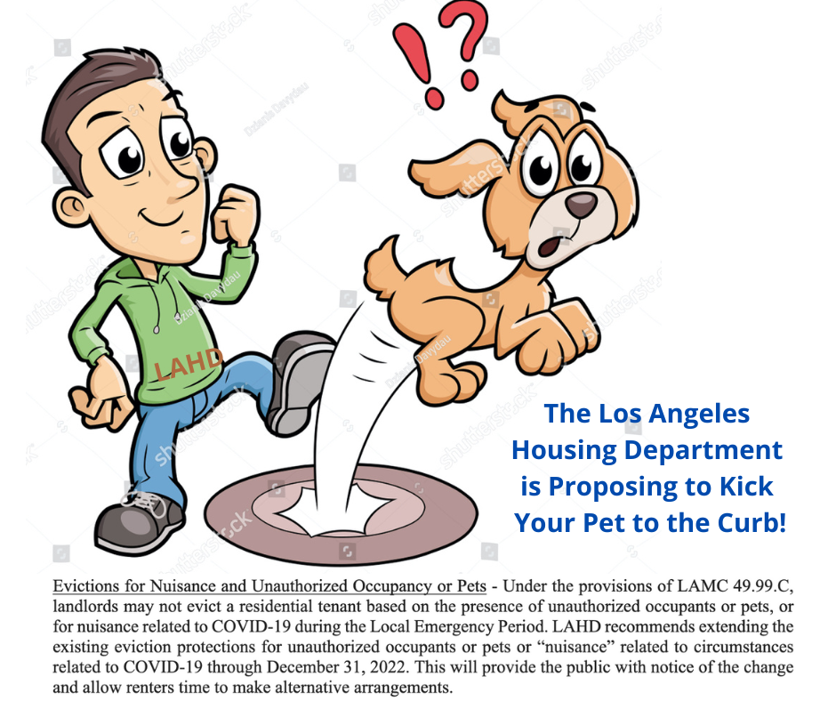 d10e1dc0-2fbb-4eae-b500-47cf3a8670dd image