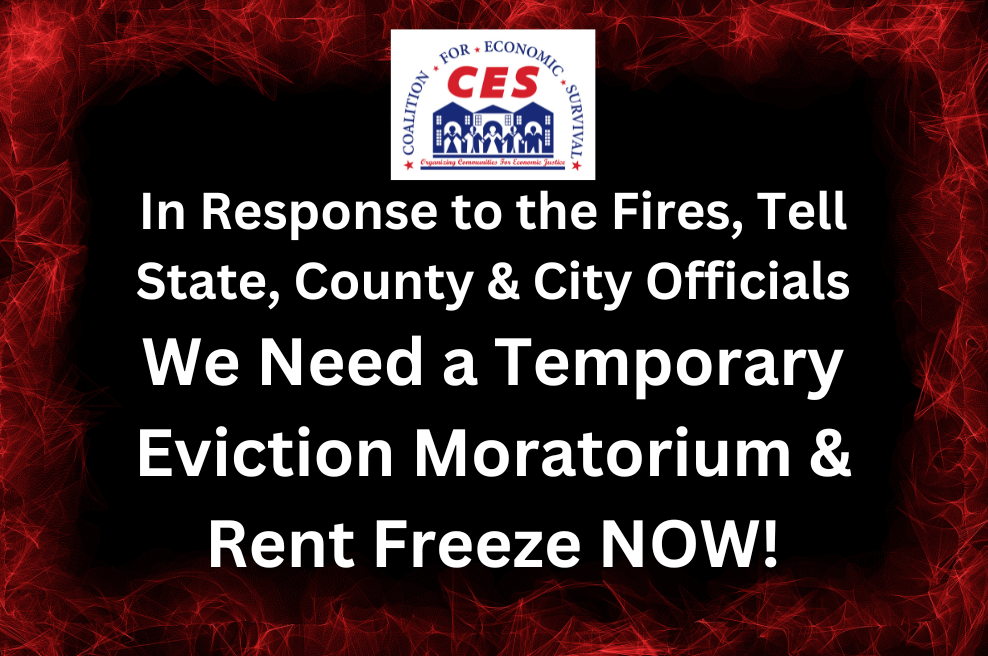 ec133620-1358-4a8d-8875-a8206323e54a image