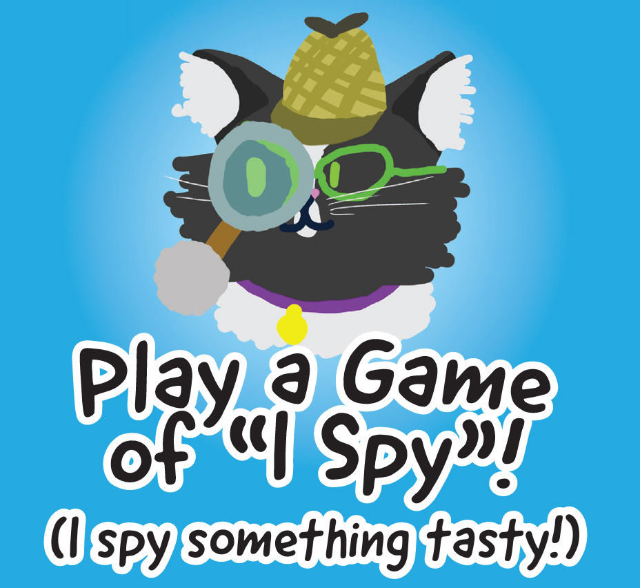 Truffles the Kitty - activities