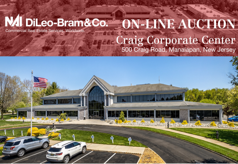 500 Craig Road Manalapan Auction EBlast.png