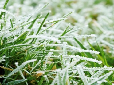 Frost