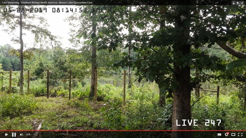 cameras being installed for live streaming