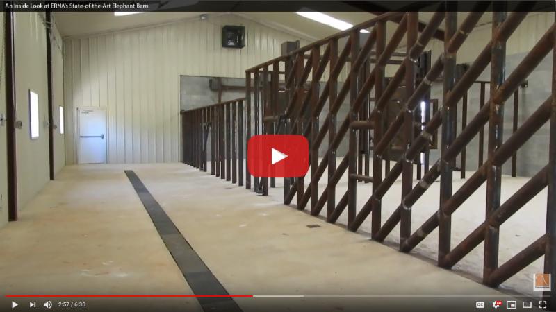 ERNA elephant barn walk through