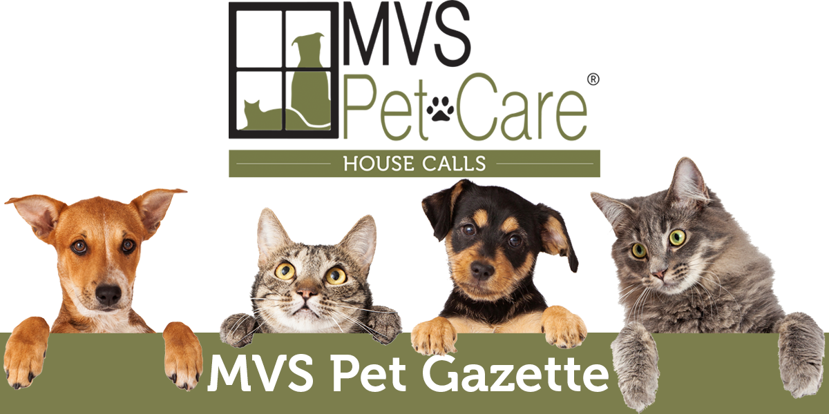 October MVS Pet Gazette