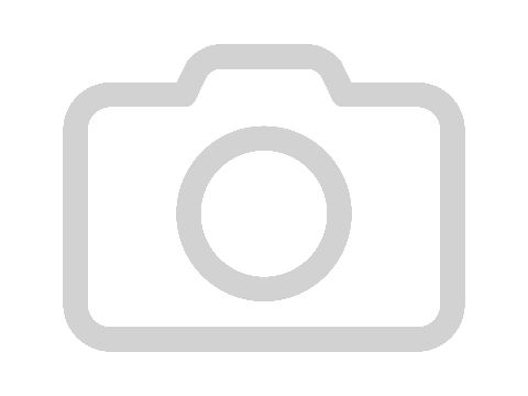 Camera Photo Icon