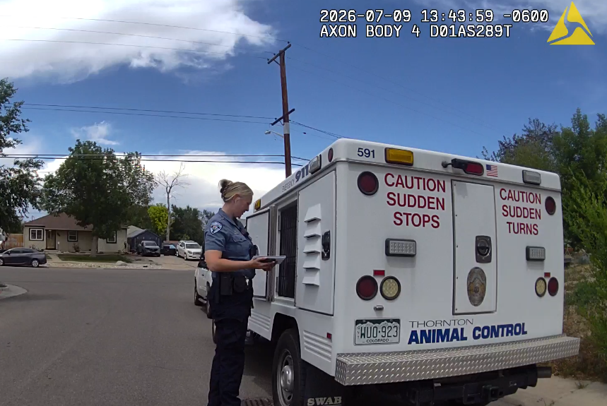 Animal Control Officer loading cats into truck