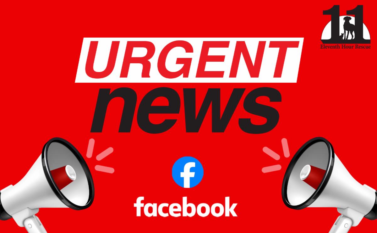 URGENT...PLEASE READ!