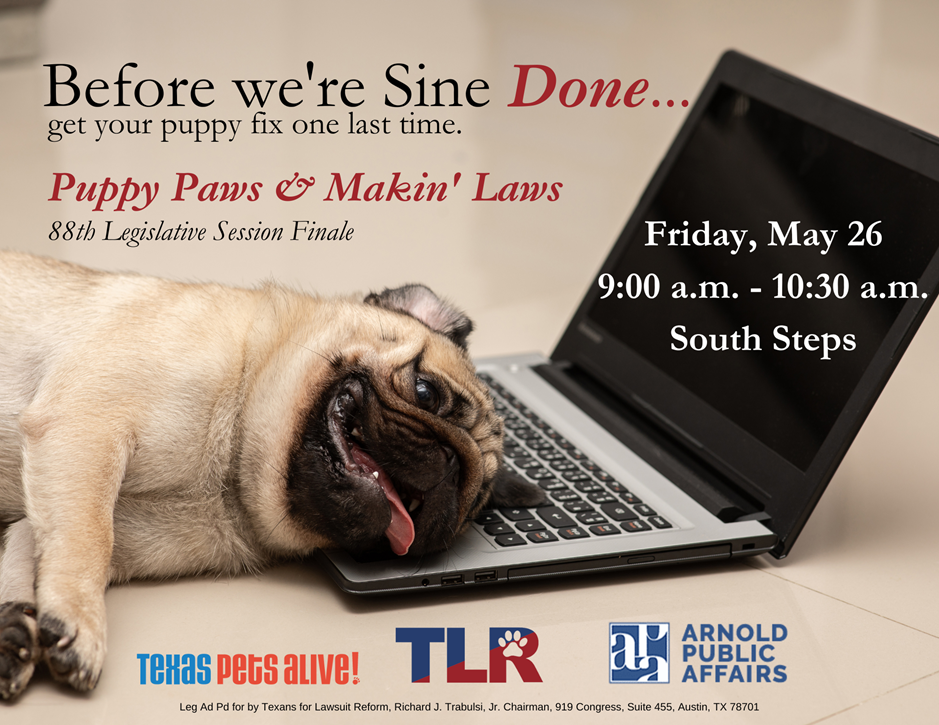 78th Edition of Texas Politics Today